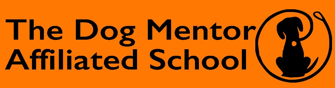 The Dog Mentor