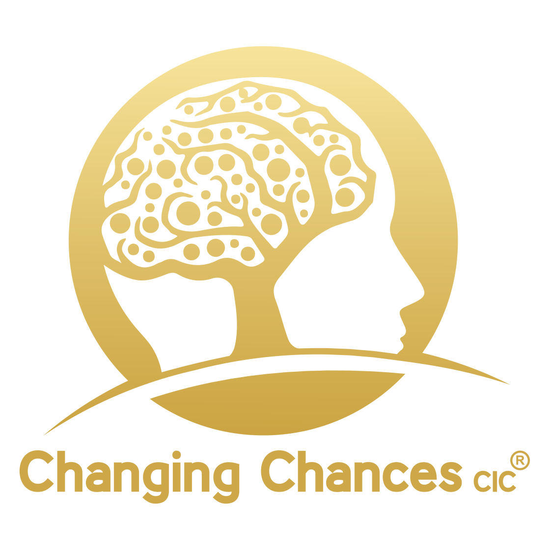 Changing Chances X Logo
