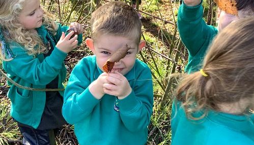 Forest school
