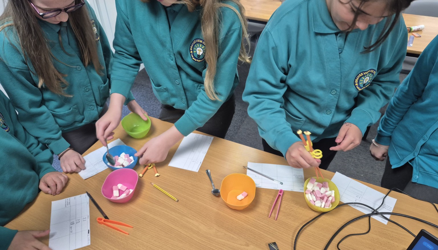 Stem work