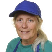 Mrs A Beginn