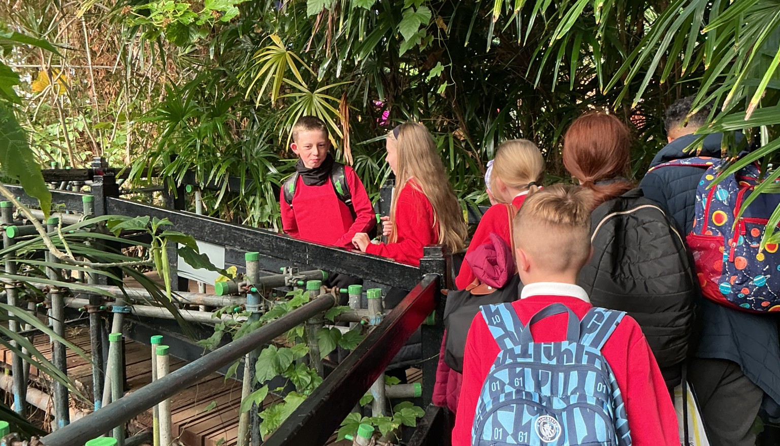 6W ventured into the tropicsl climate to investigate tropical plants and animals.