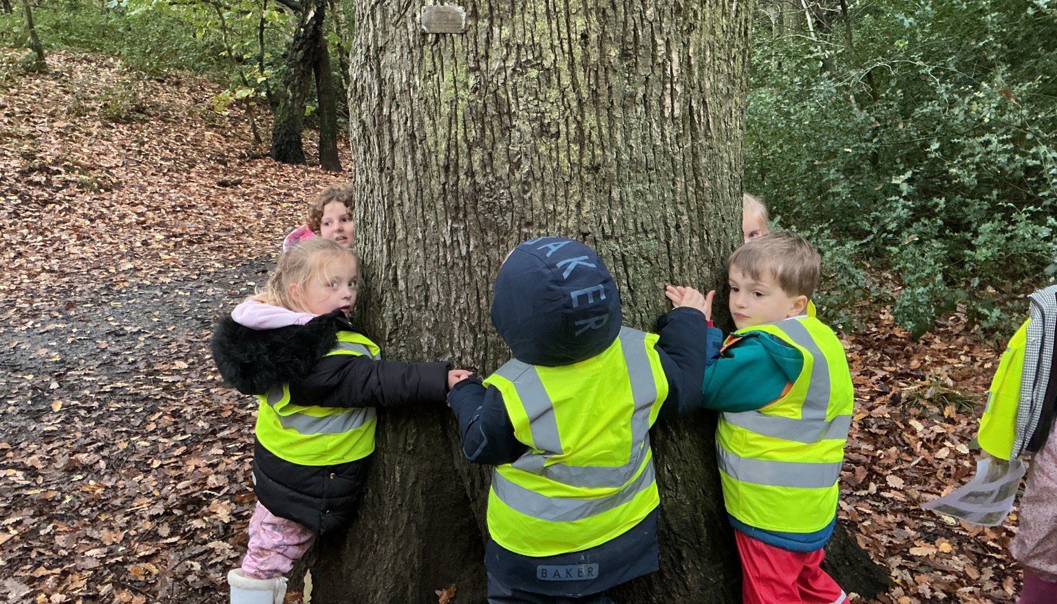Measuring trees using non-standard measures!