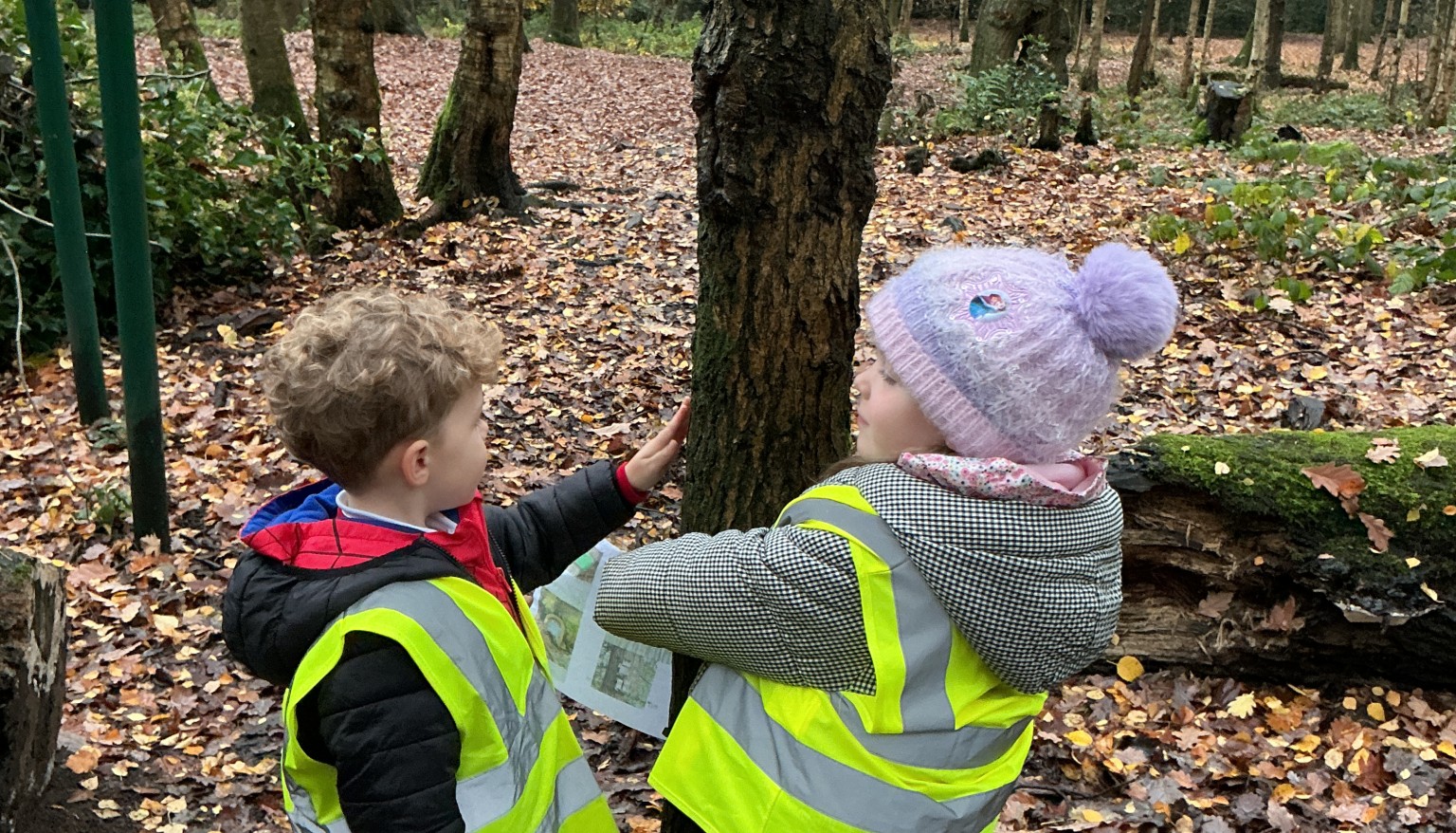 Measuring trees using non-standard measures!