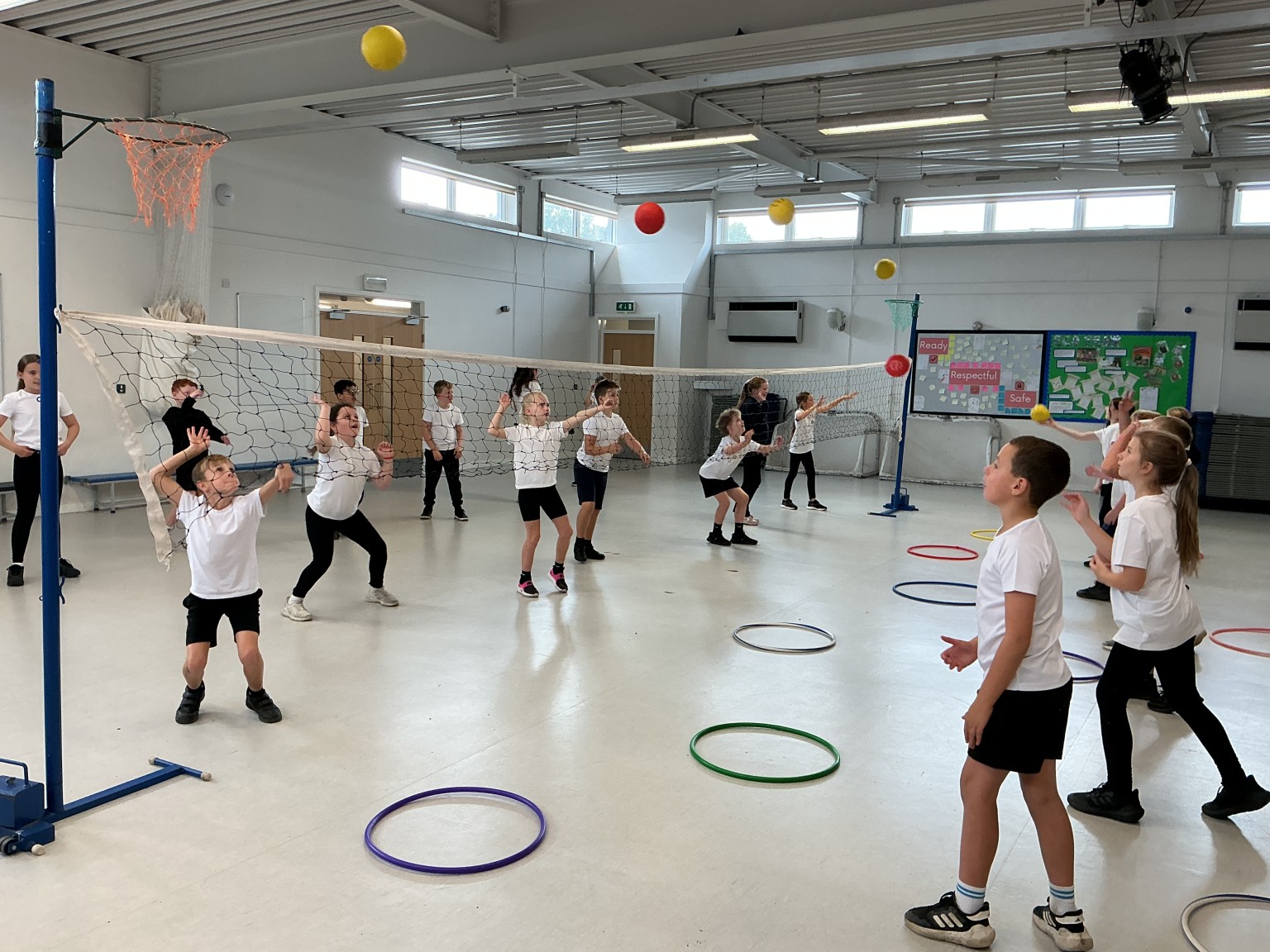 Volleyball