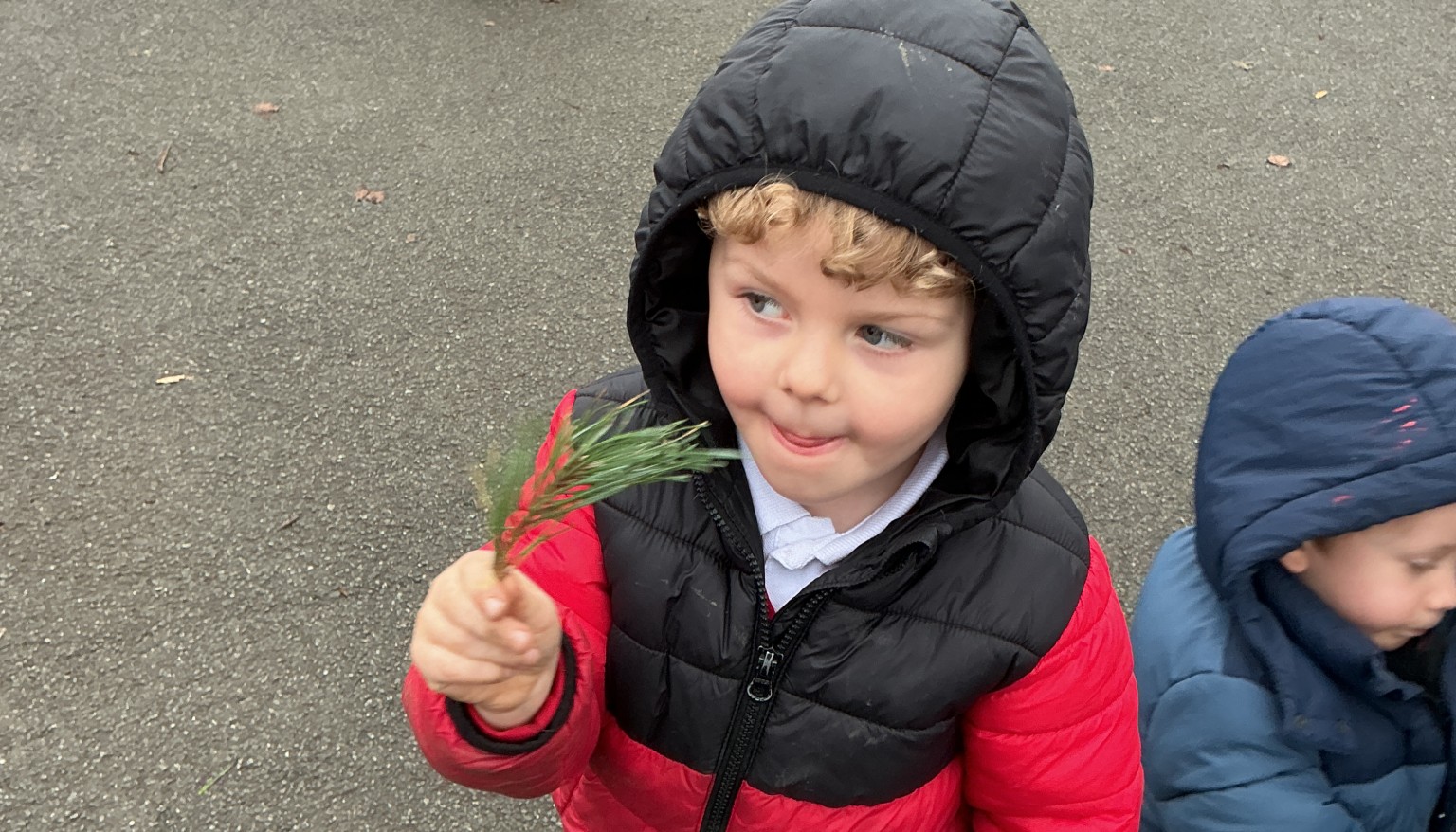 Finding signs of autumn in our school grounds