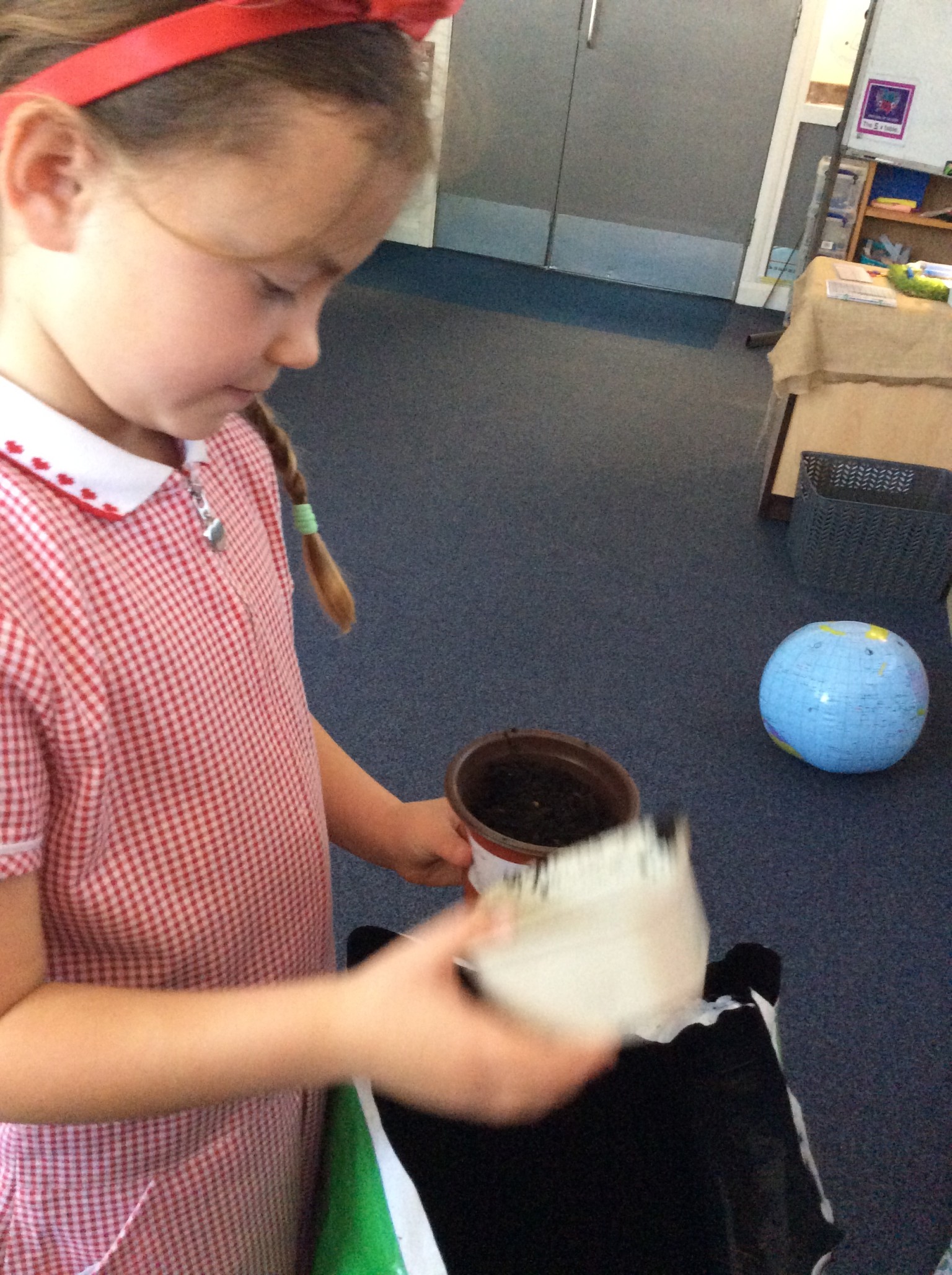 Planting our own seeds and bulbs