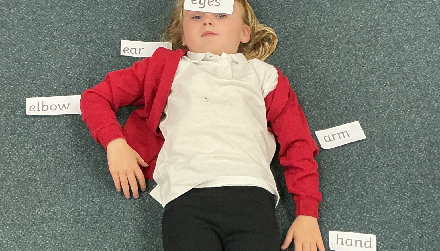 Labelling our body parts