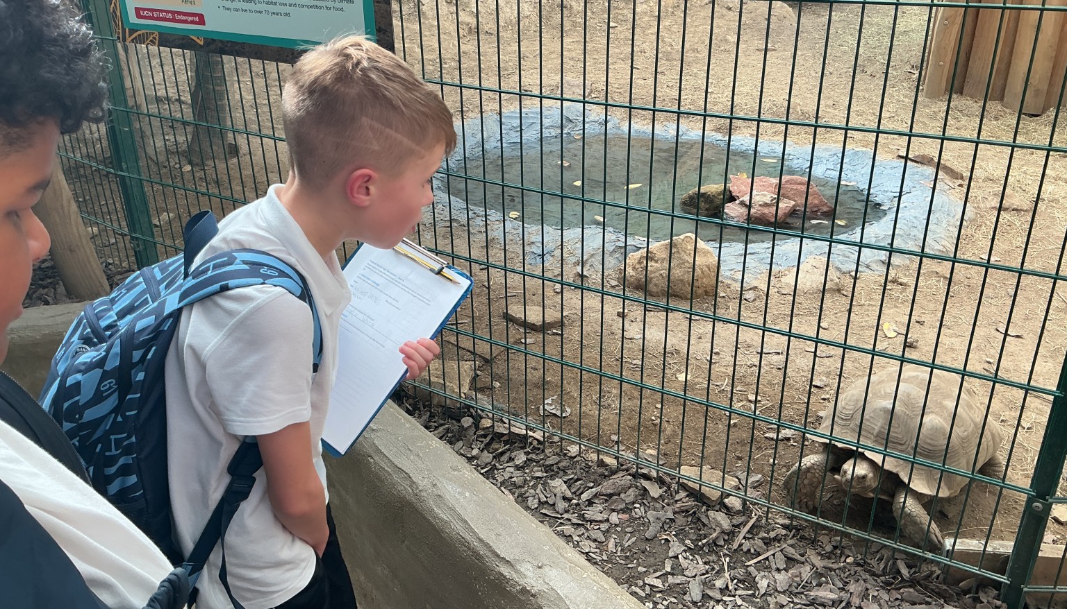 This ancient turtle took a liking to our pupils.