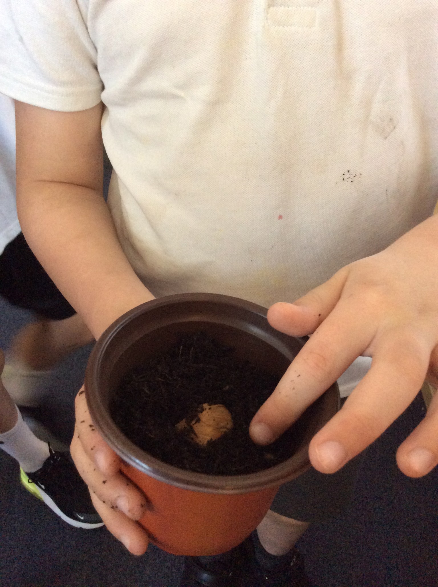 Planting our own seeds and bulbs
