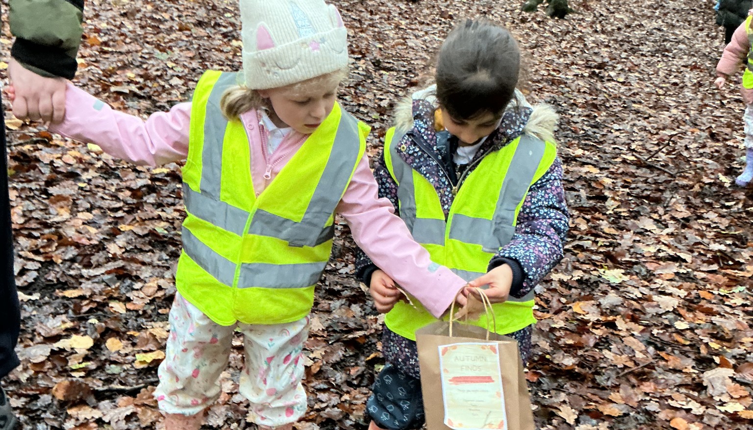 Finding signs of autumn in our local woods
