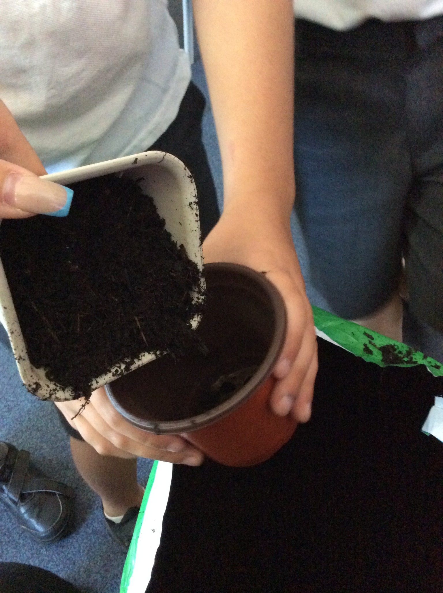 Planting our own seeds and bulbs