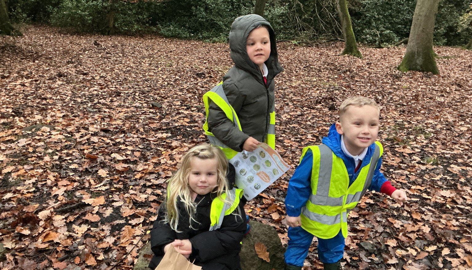 Finding signs of autumn in our local woods