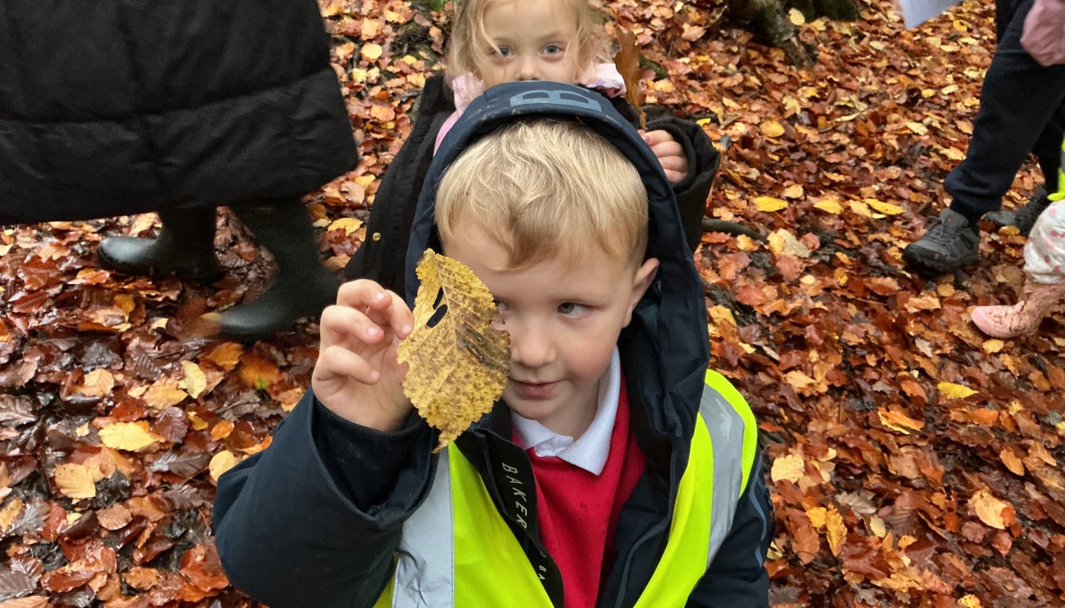 Finding signs of autumn in our local woods