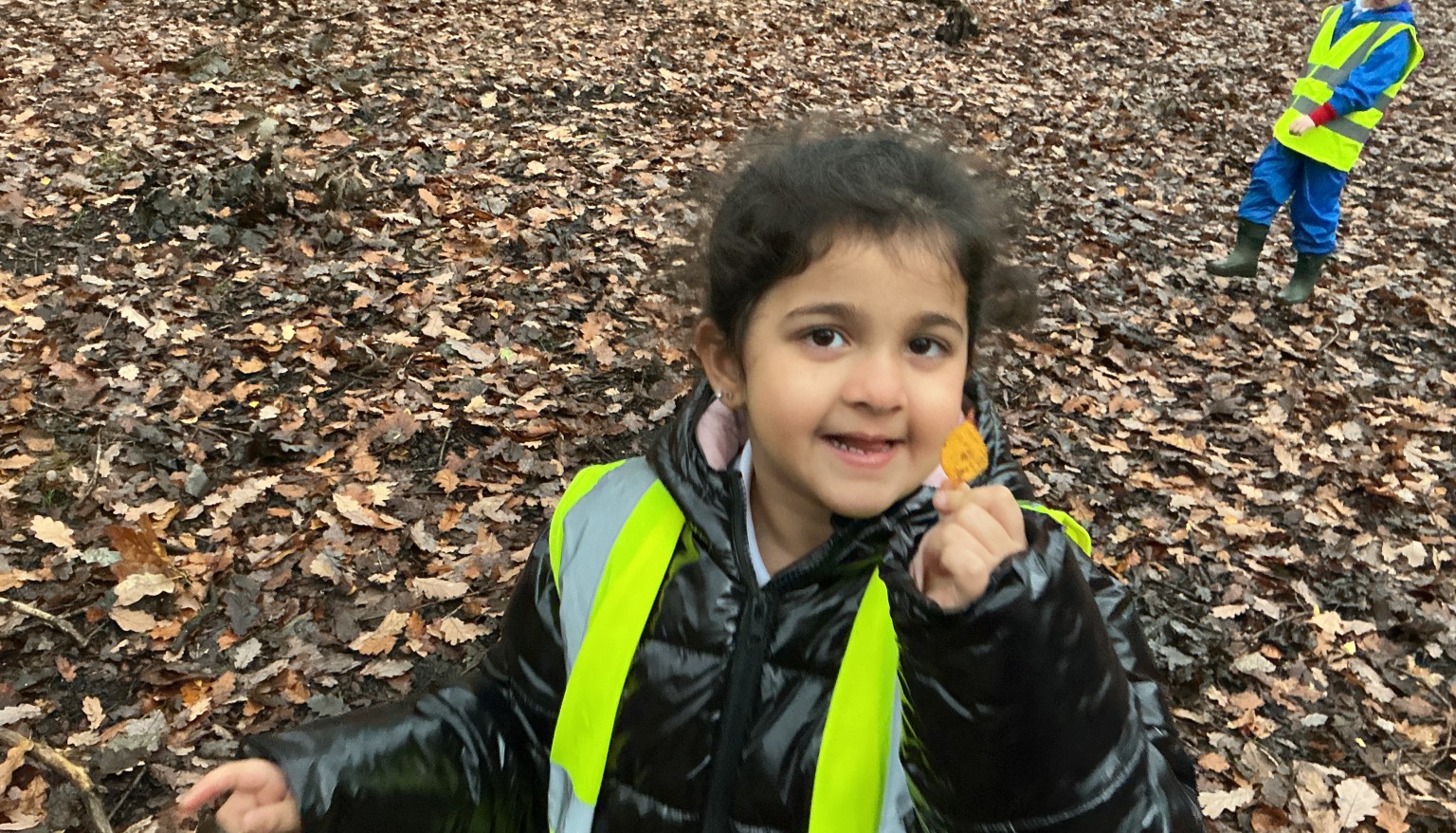 Finding signs of autumn in our local woods