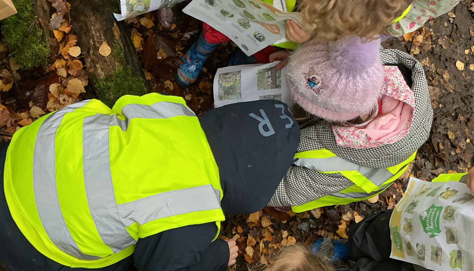 Finding signs of autumn in our local woods