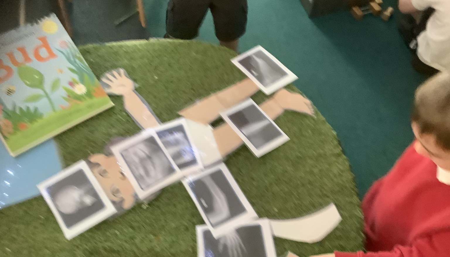 Bodies