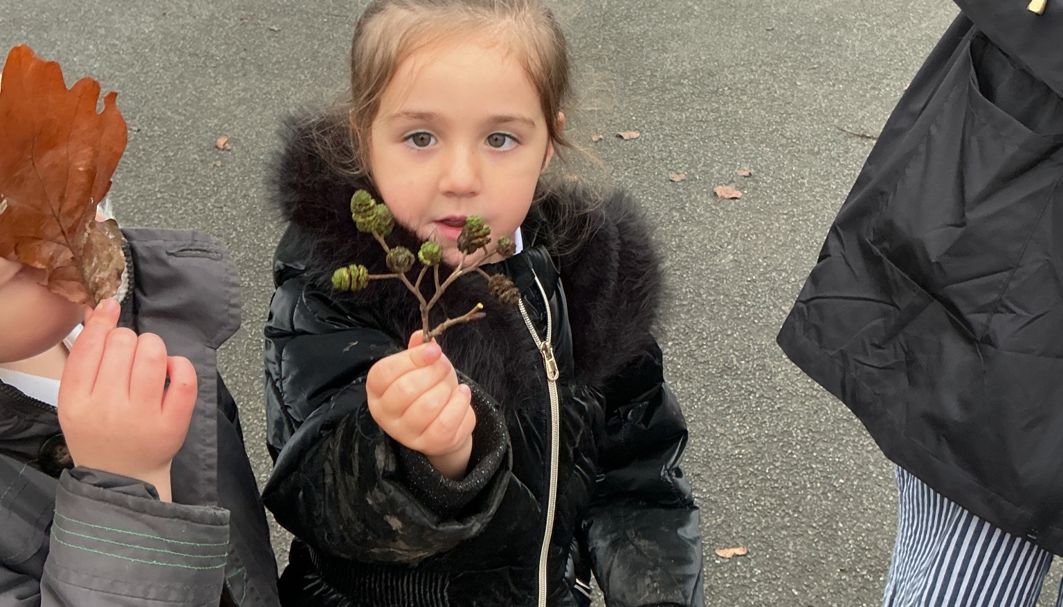 Finding signs of autumn in our school grounds