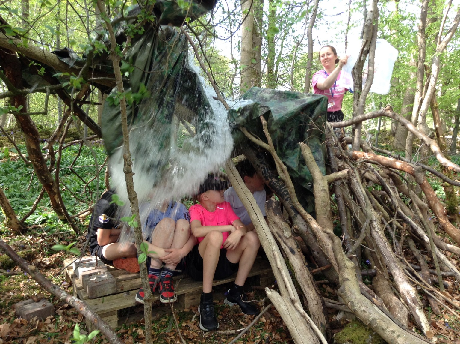 Den building