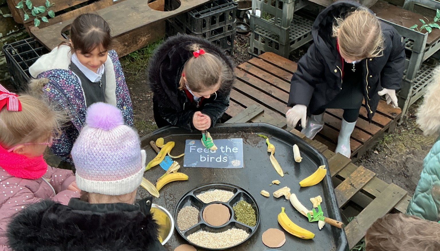 Reception Big Bird Watch (Spring Term 2026)