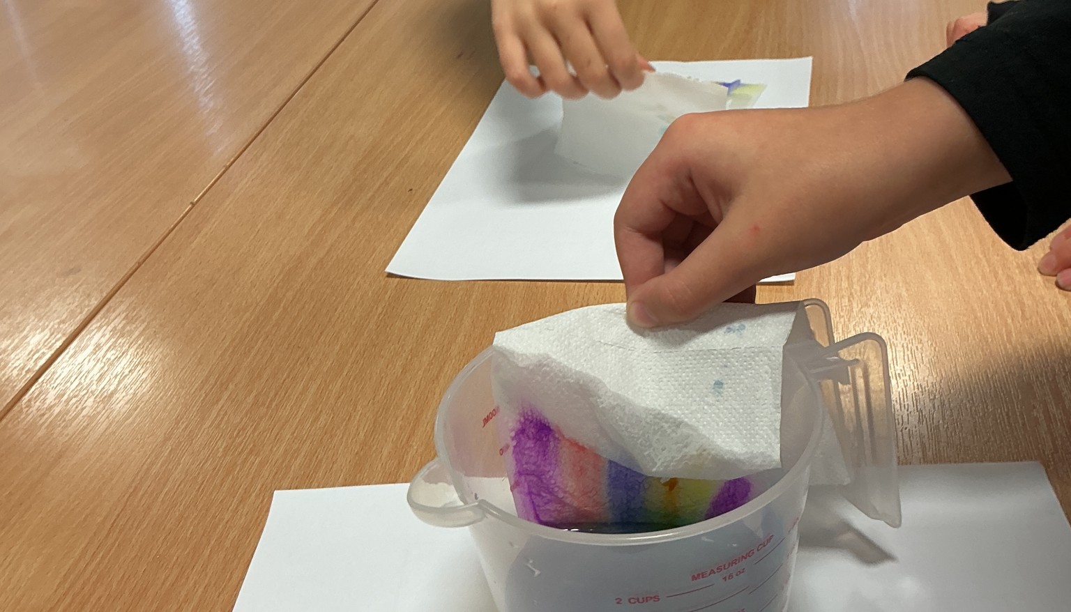 As the tissue soaked up the water our rainbows began to appear and grow. 