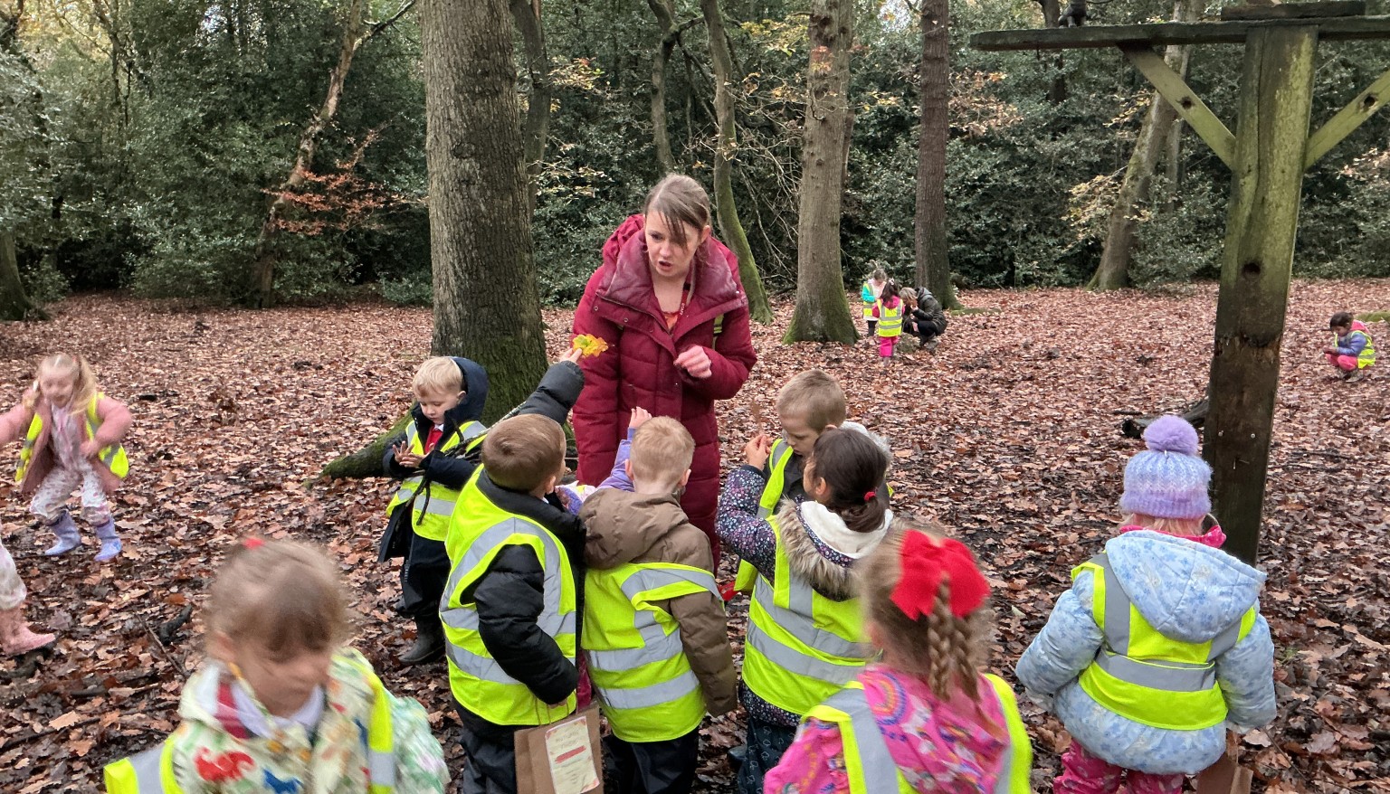 Finding signs of autumn in our local woods