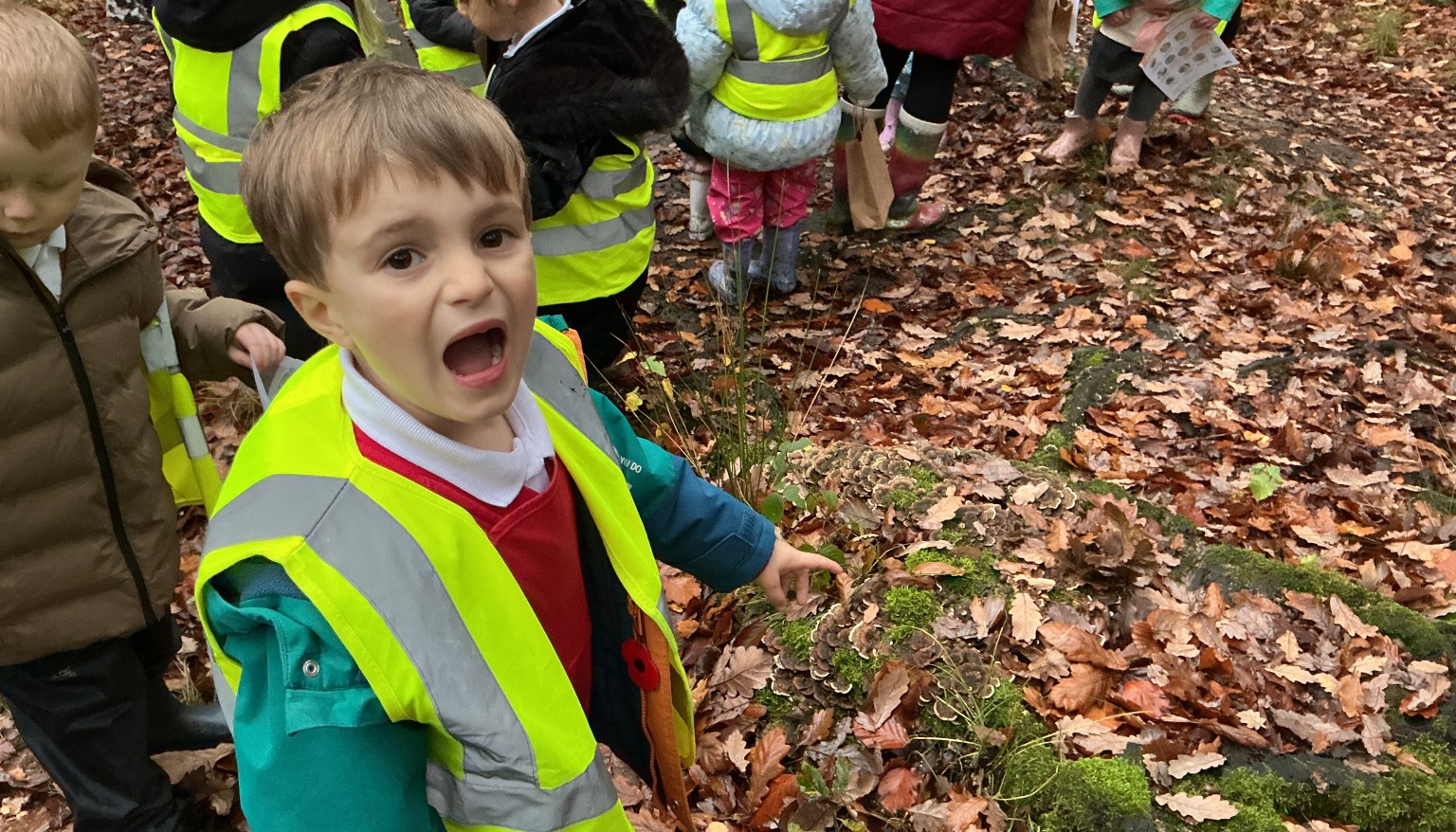 Finding signs of autumn in our local woods