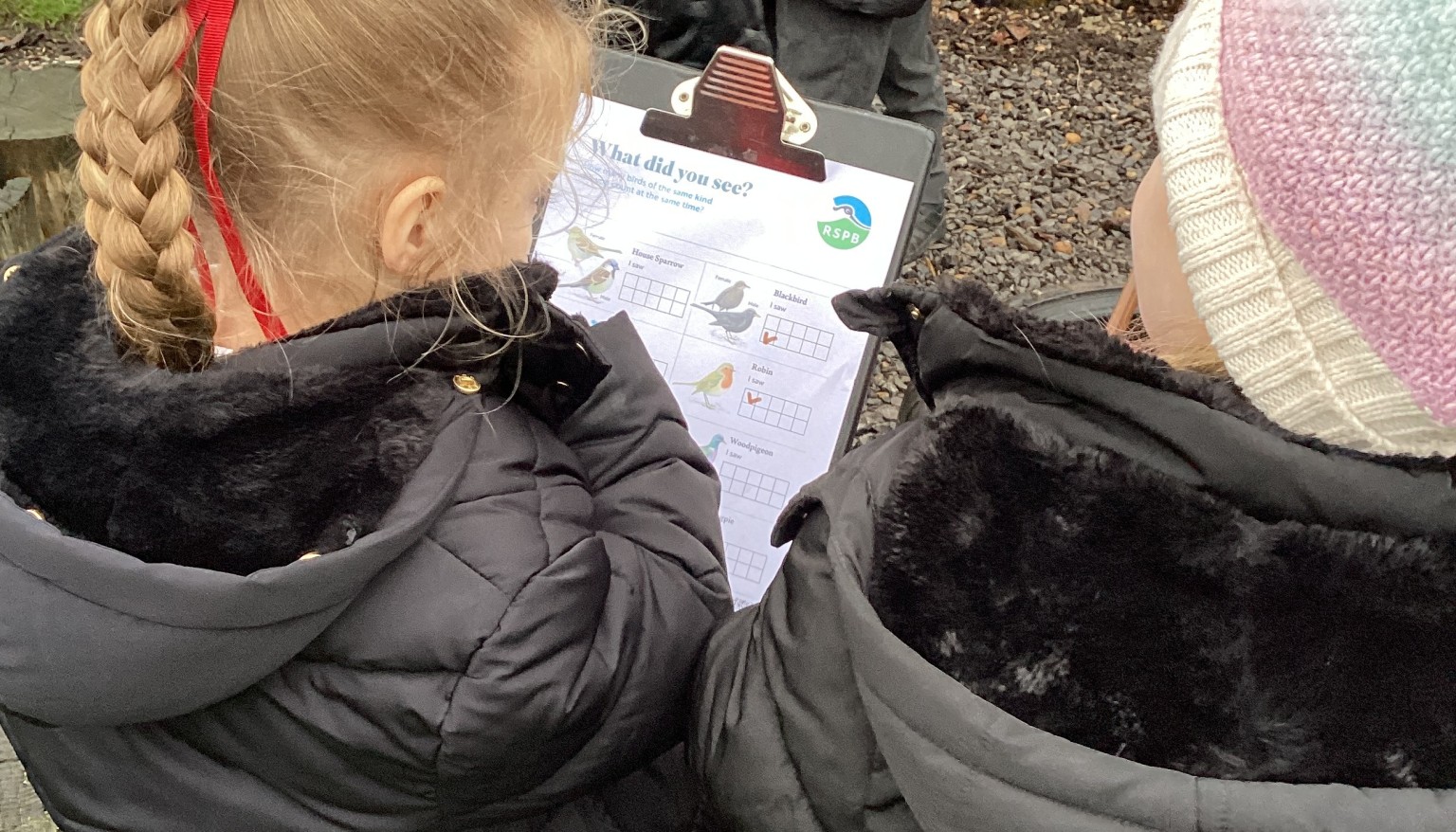 Reception Big Bird Watch (Spring Term 2026)