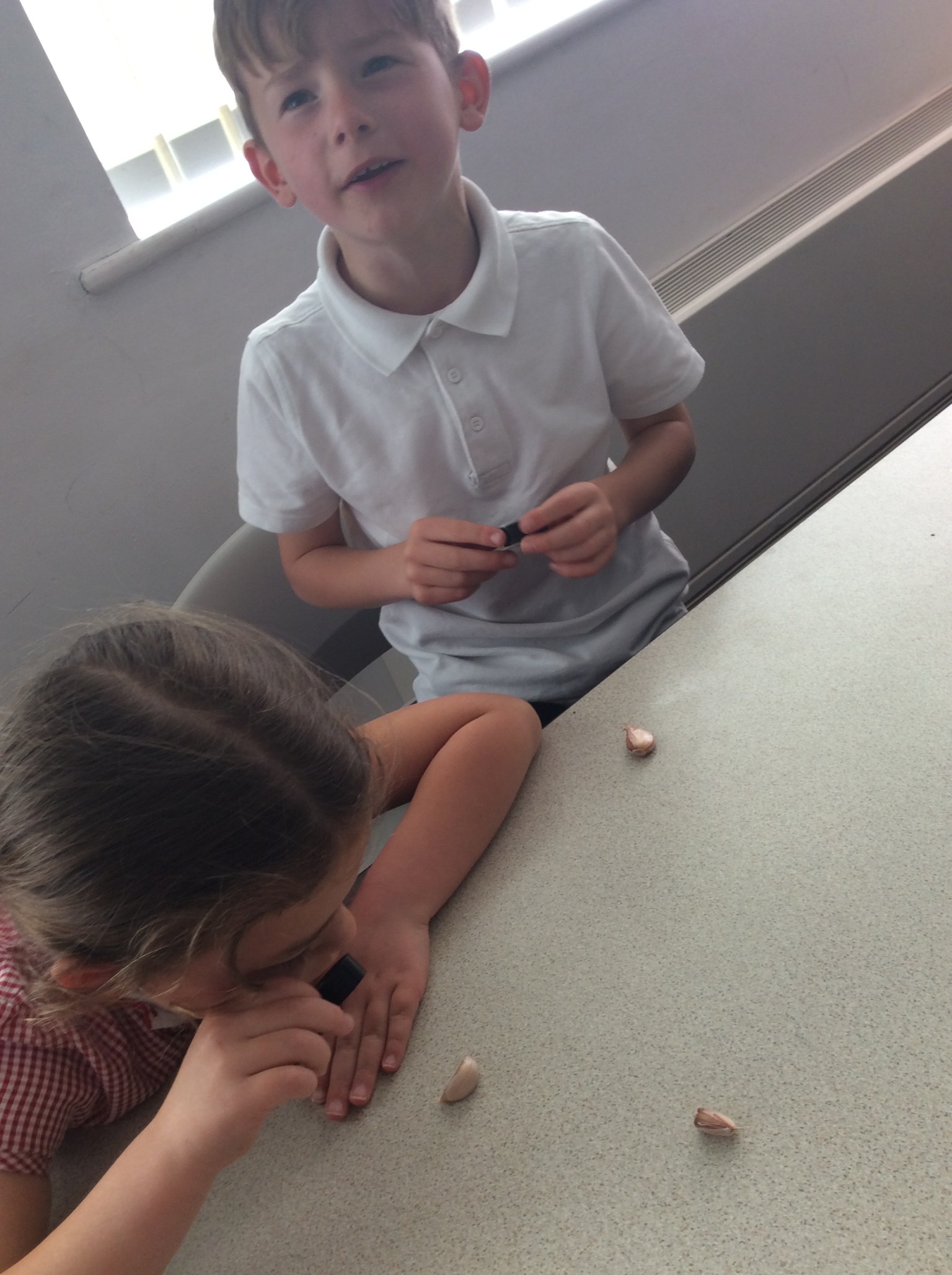observing seeds and bulbs