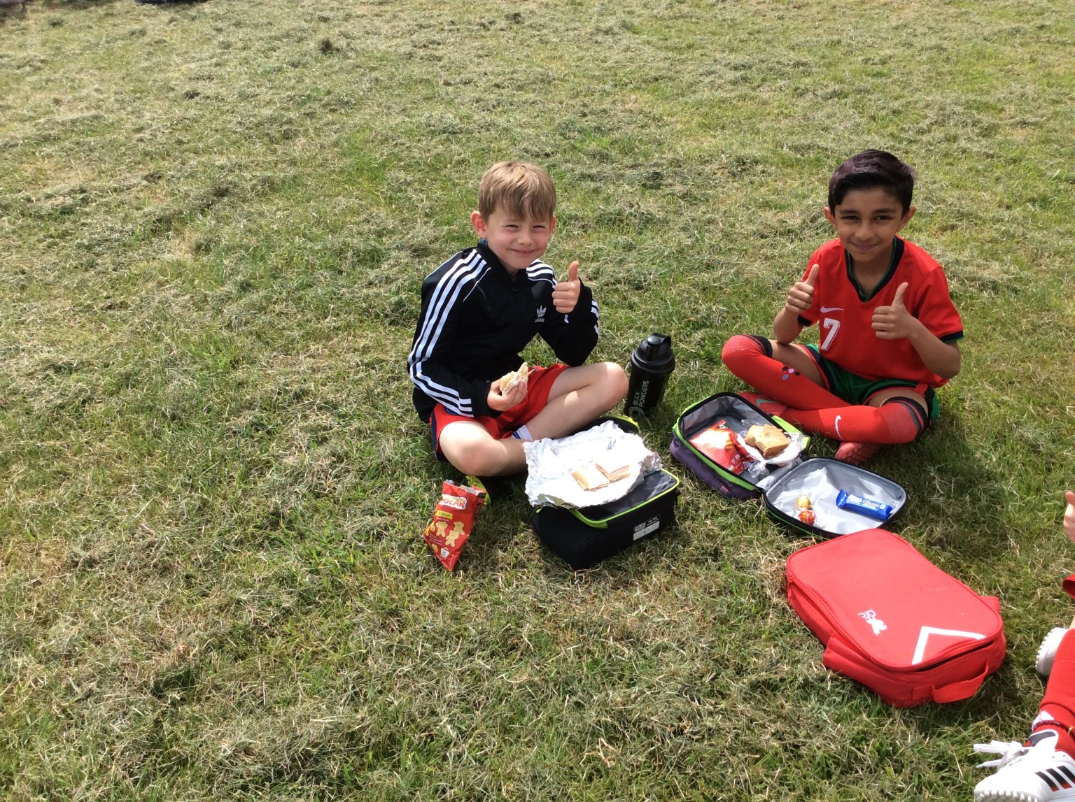 Picnic