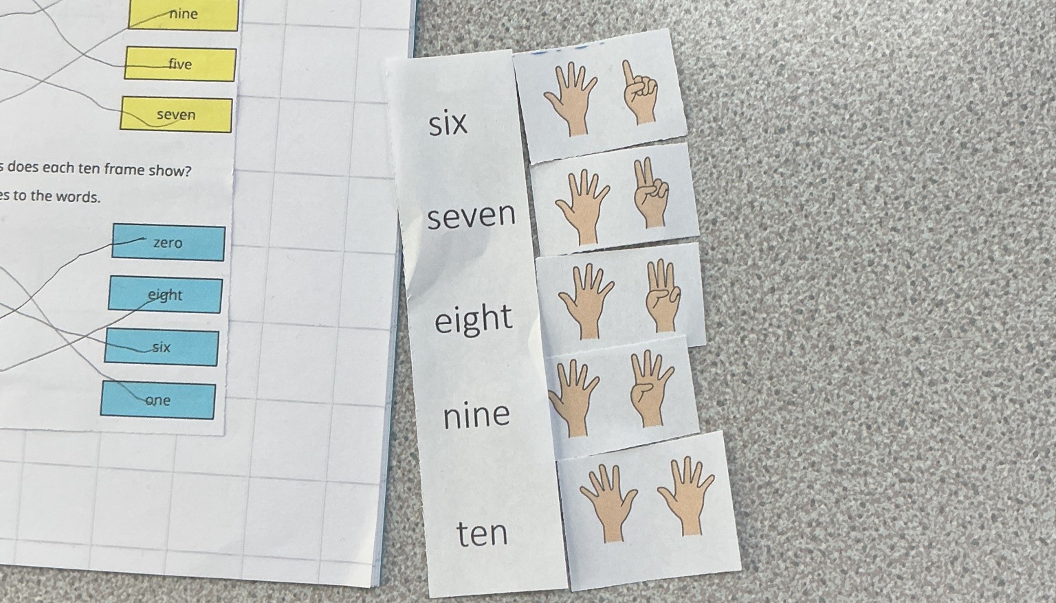 Using the pictorial representation, we matched up the number with its word. 