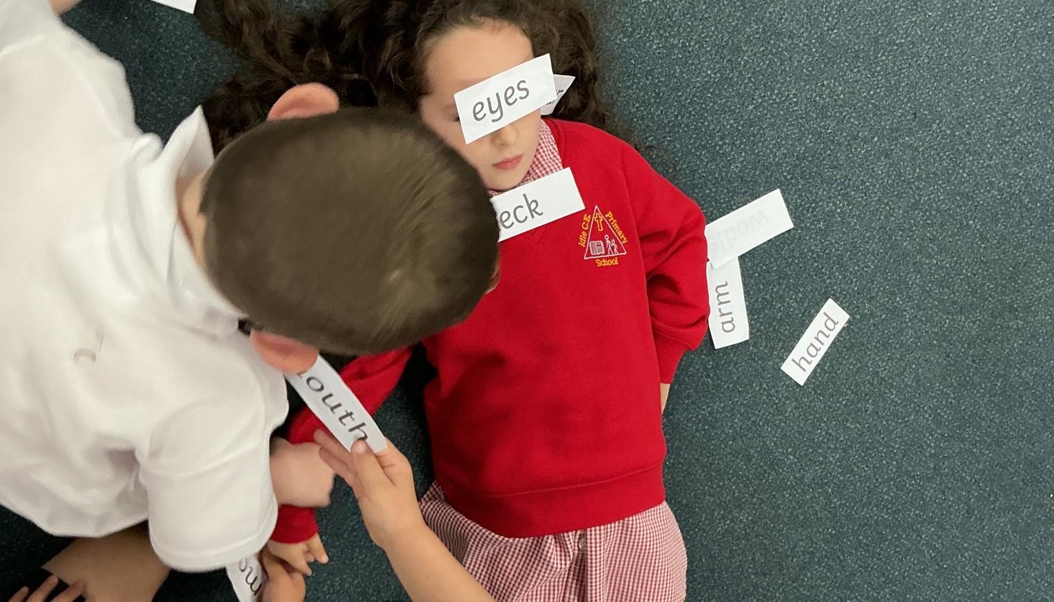 Labelling our body parts