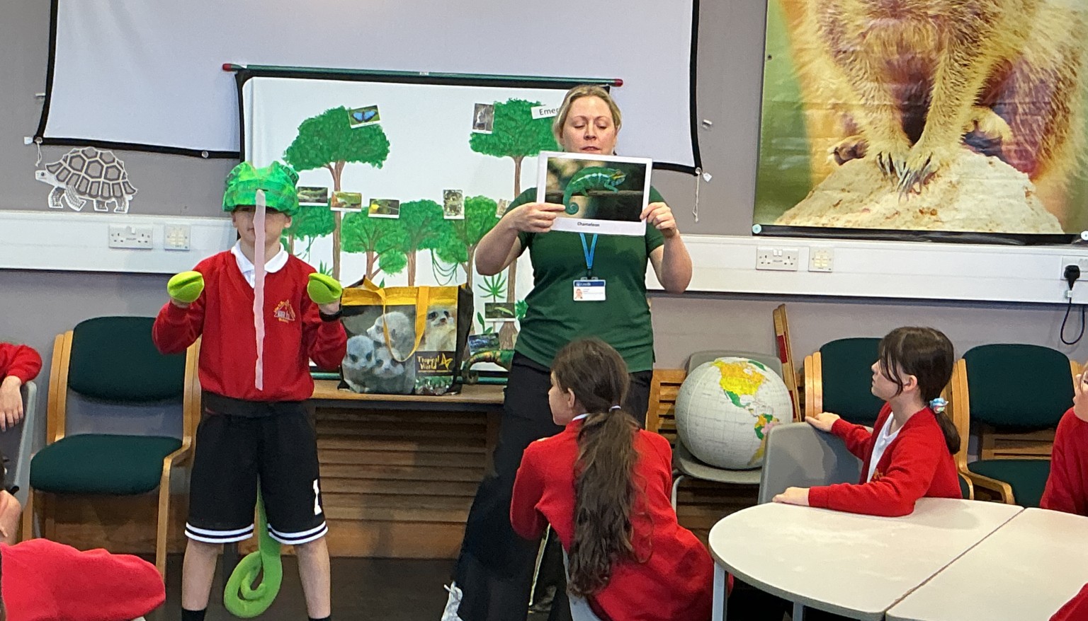 Learning how chamelions move and eat and why they change colour.