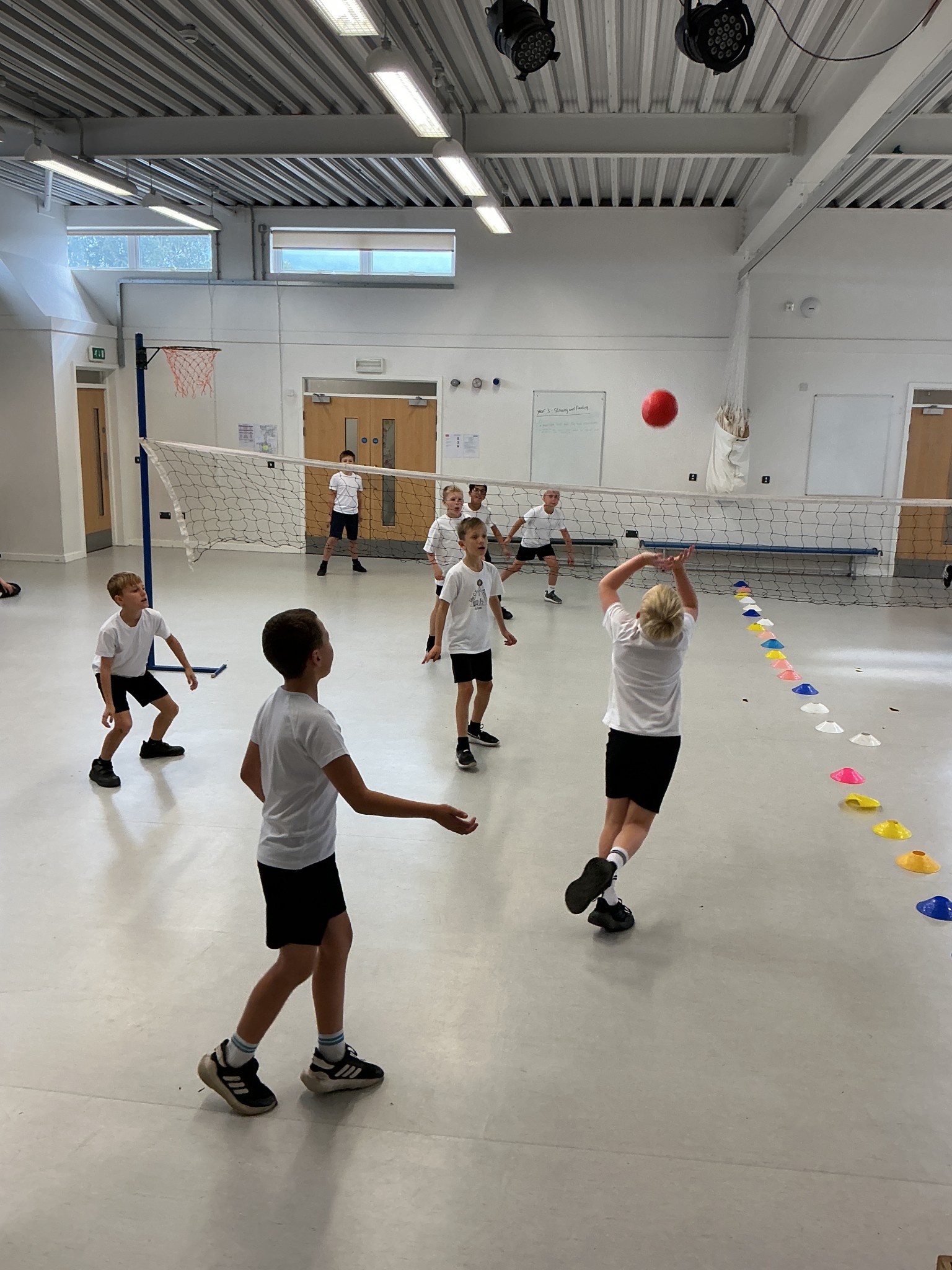 Volleyball