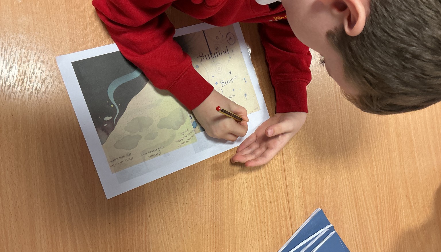 Looking closley at illustrations. 