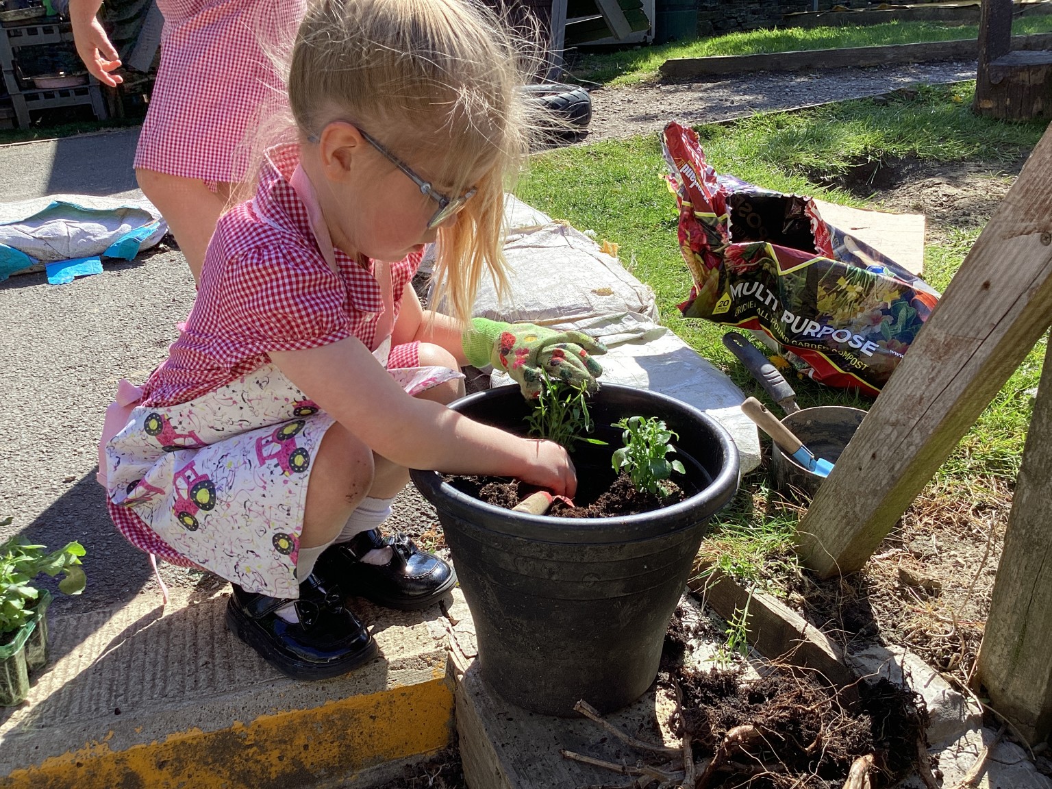 Reception Gardening and Planting (Summer Term 2026)
