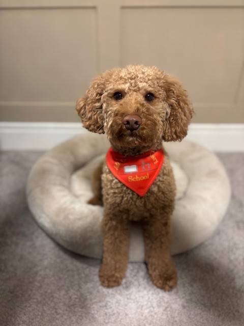 Stanley