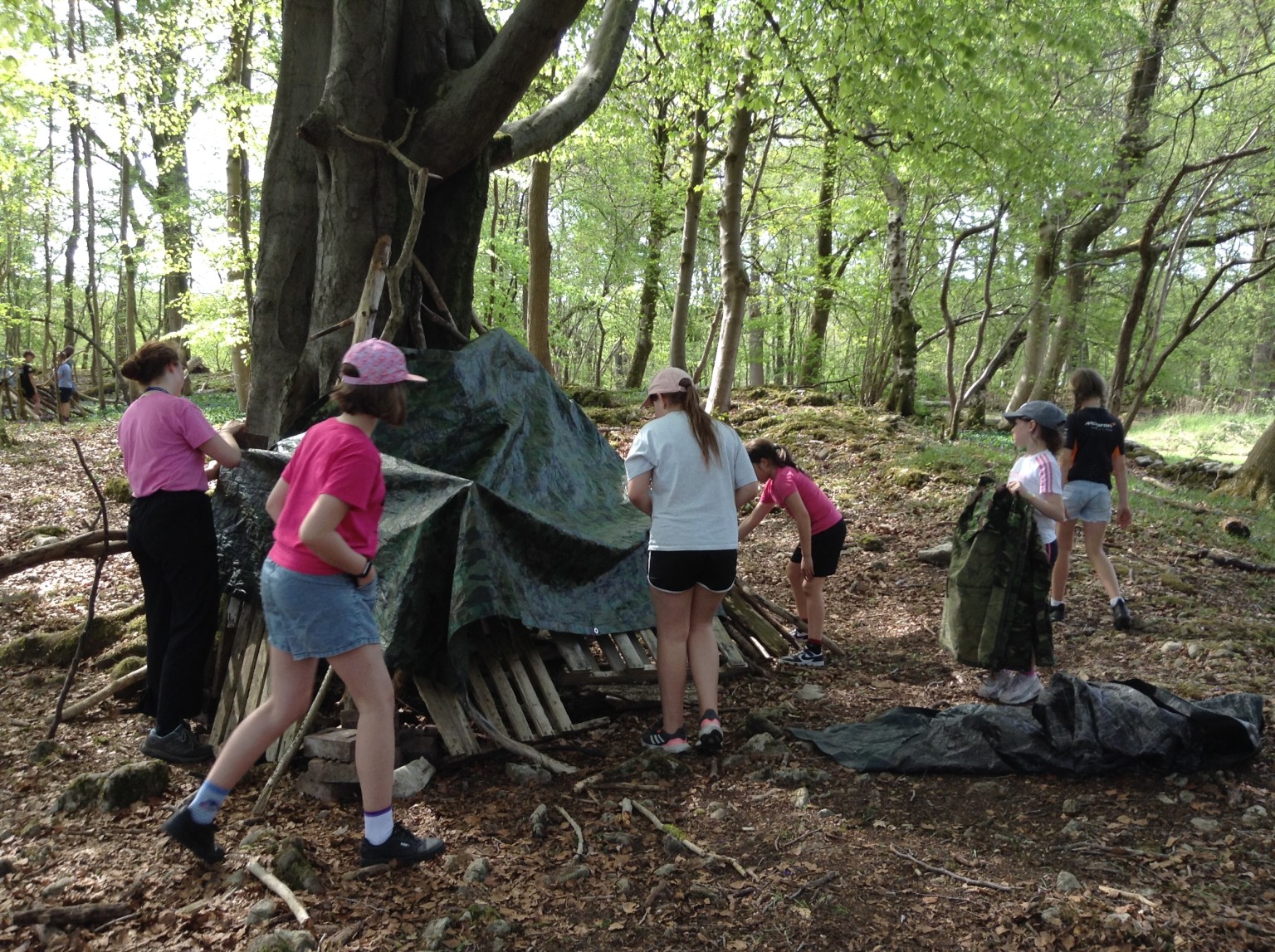 den building