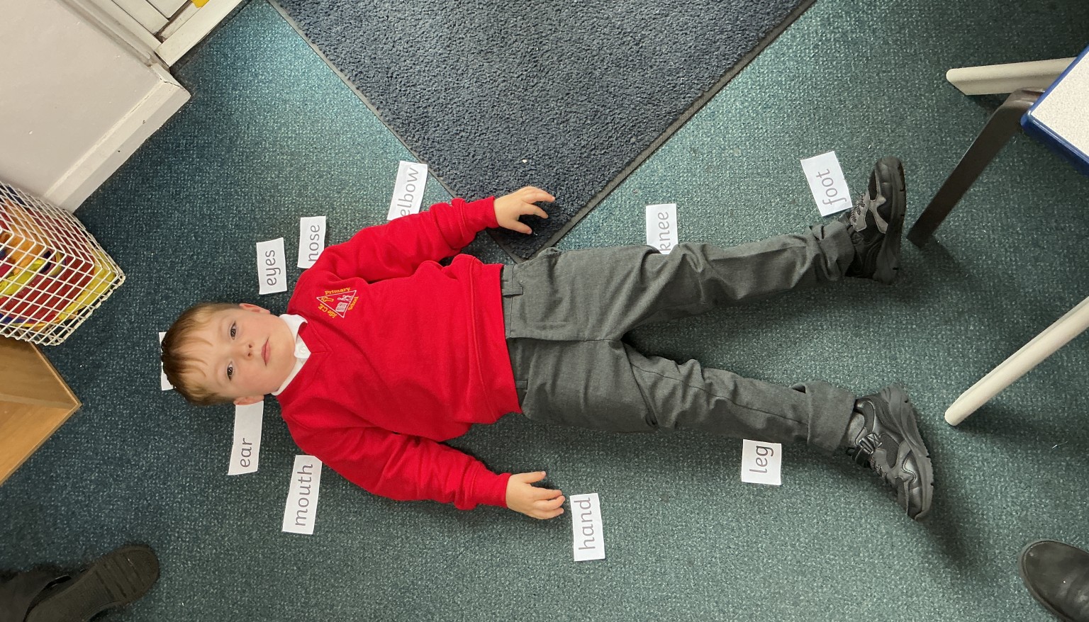 Labelling our body parts