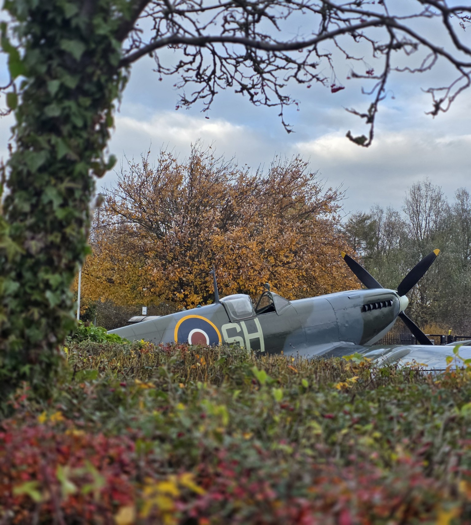 Spitfire