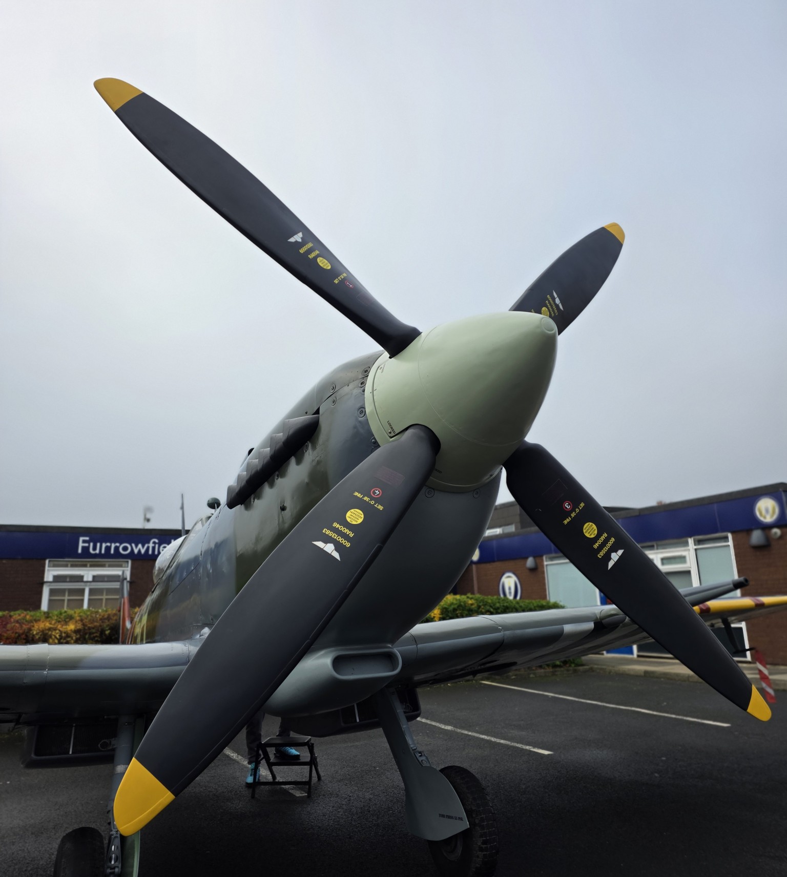 Spitfire
