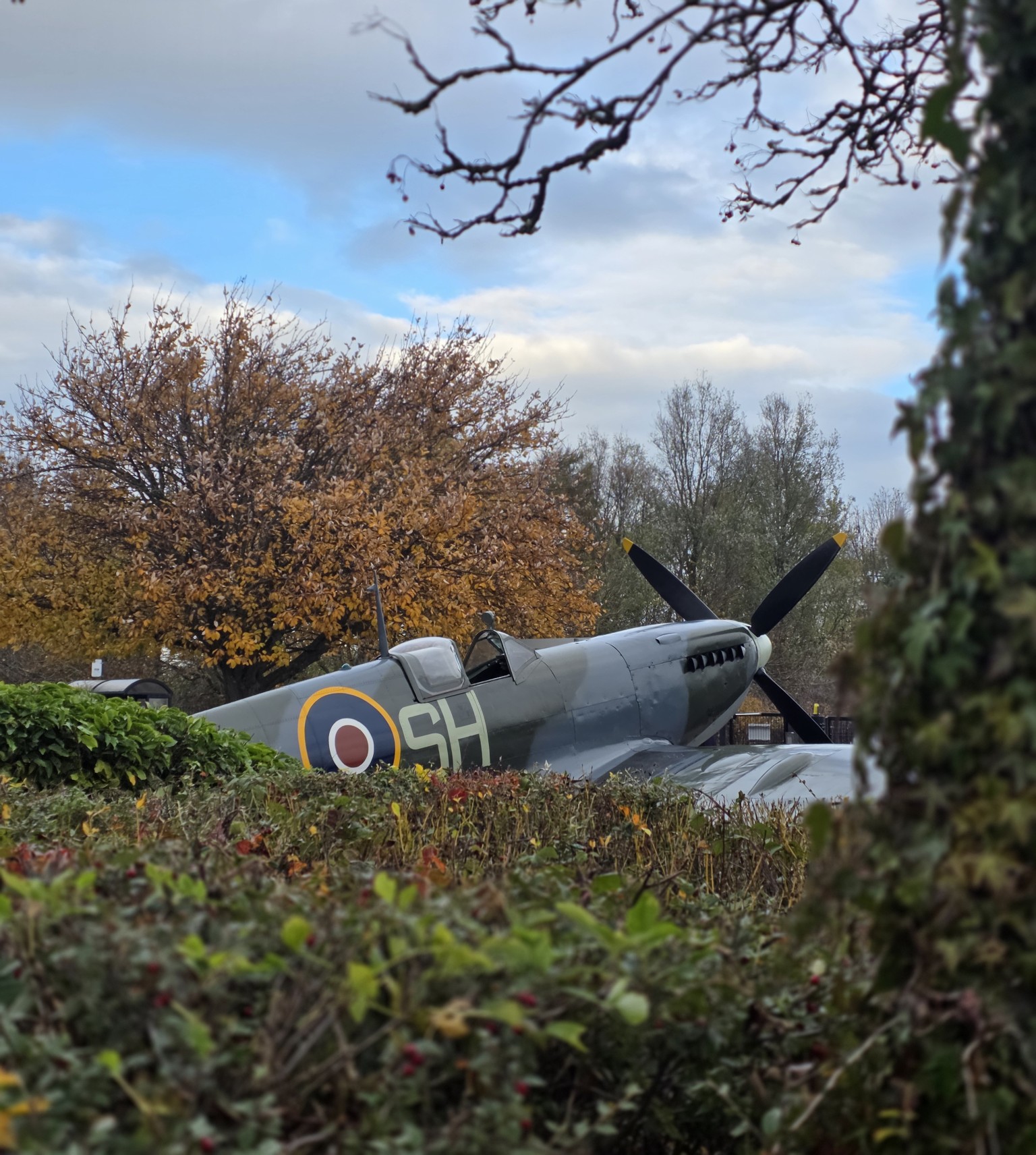 Spitfire
