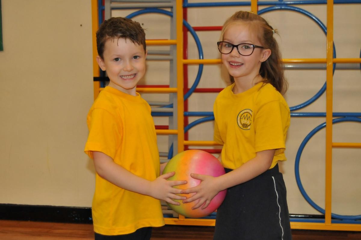 What is Sports Premium?