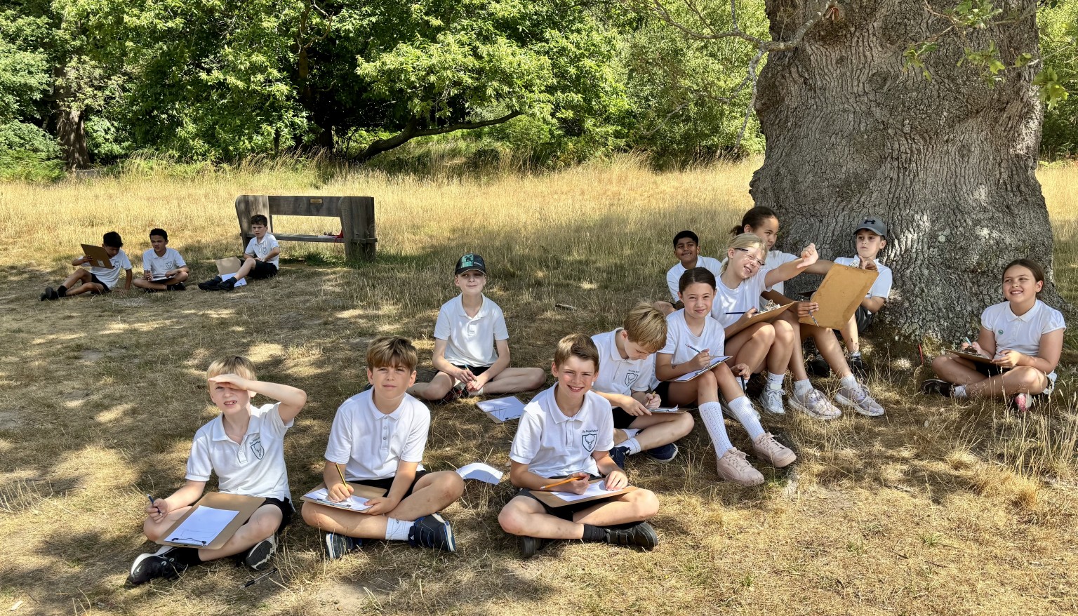 Swans sketching the school