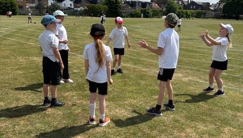 cricket