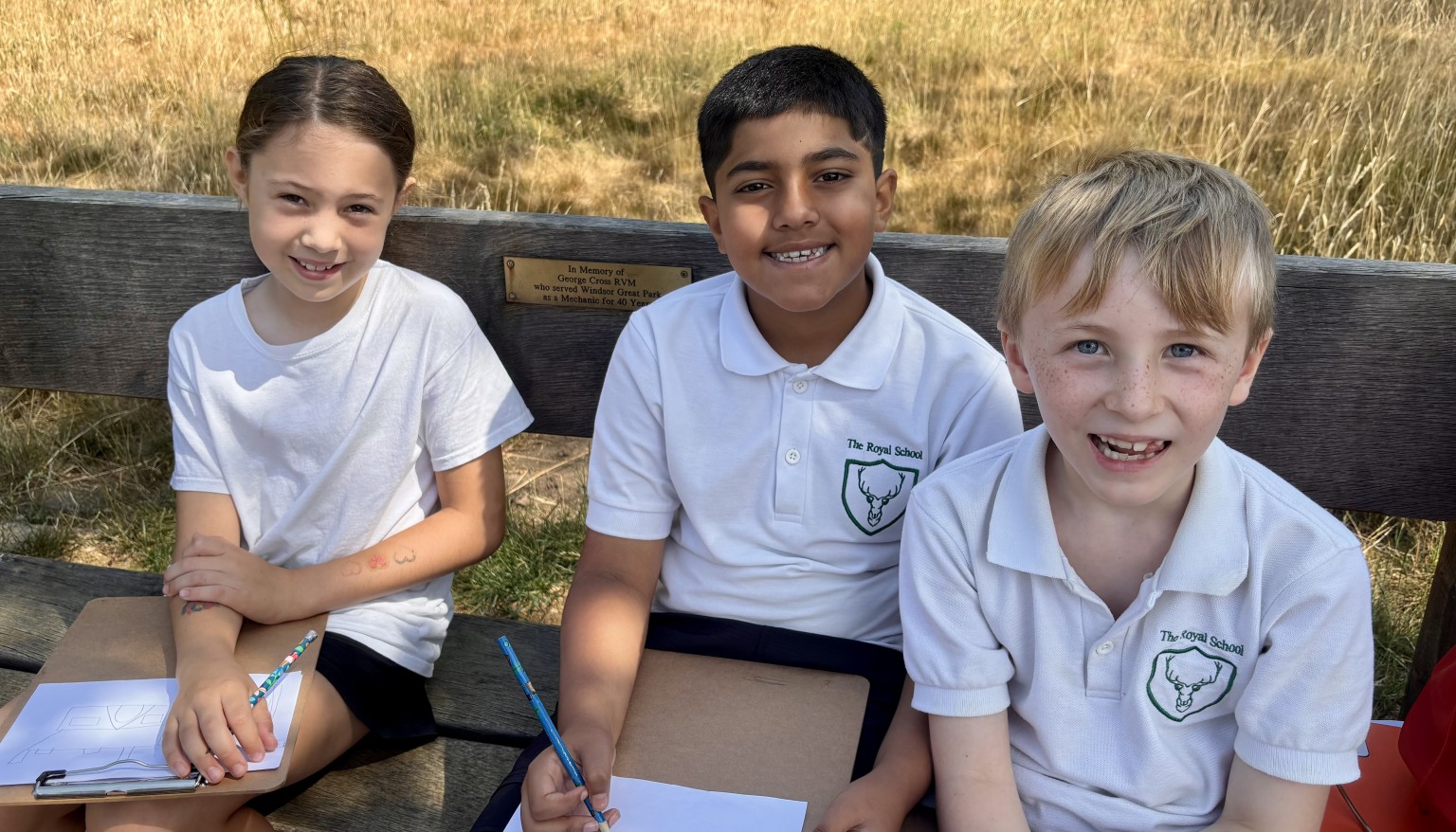 Swans sketching the school