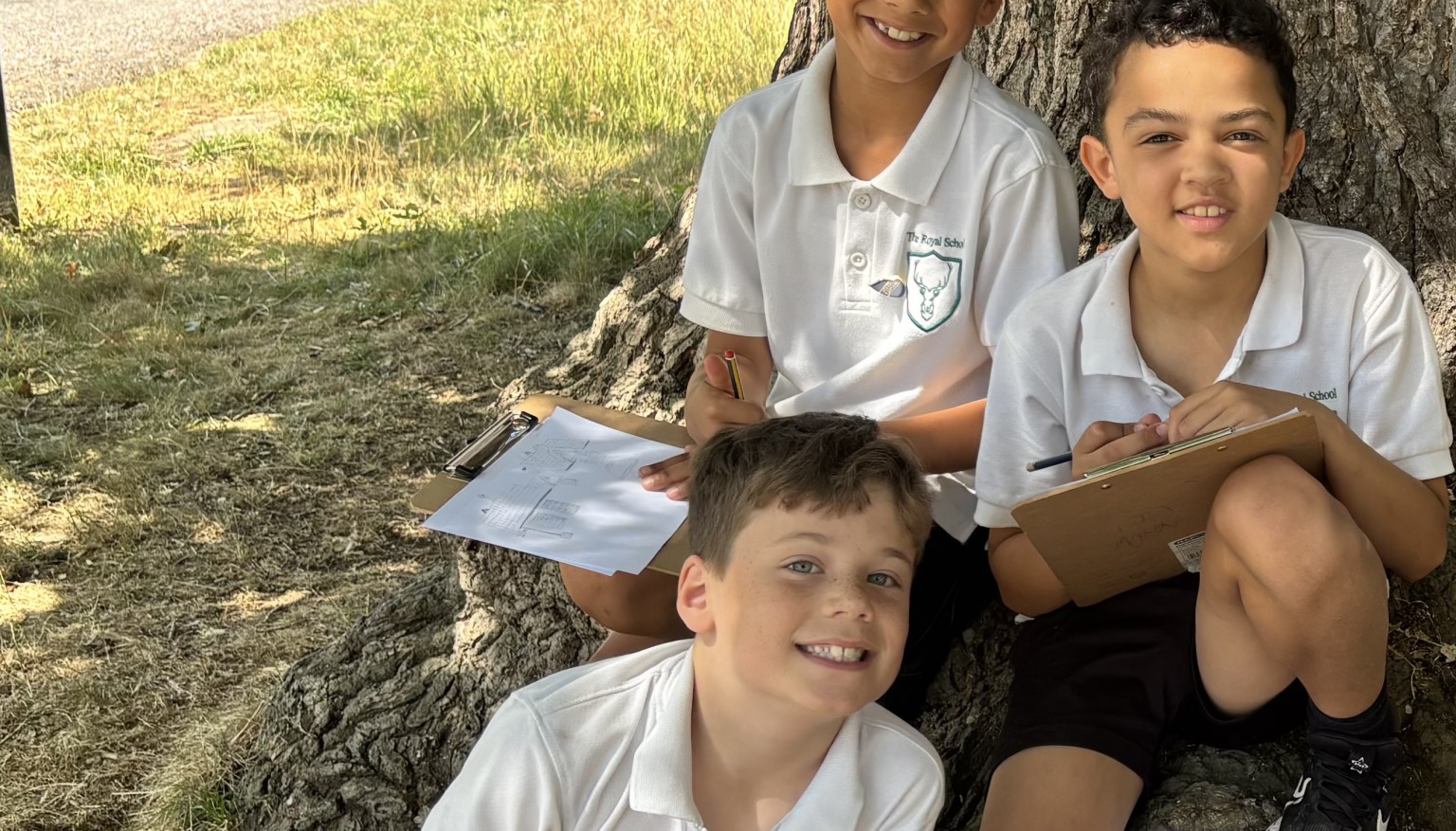 Swans sketching the school