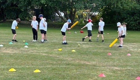 cricket 