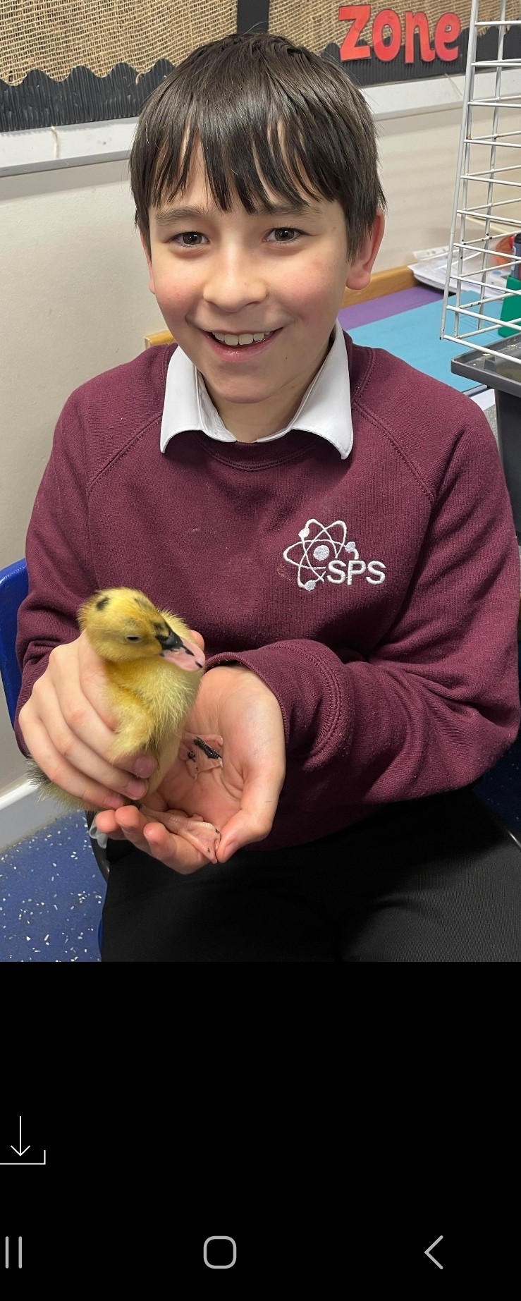 Chick 