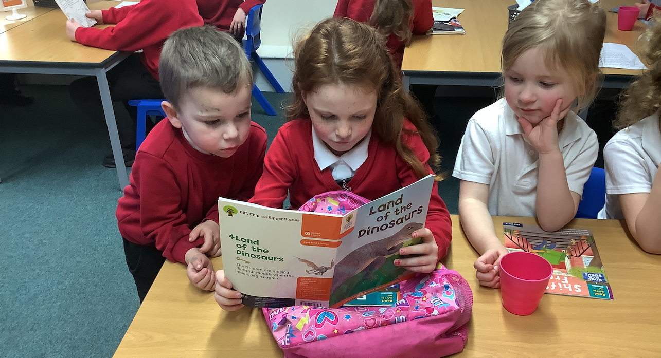 Pupils reading